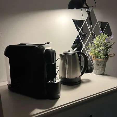 Bed & Breakfast Old Vintage Brasov