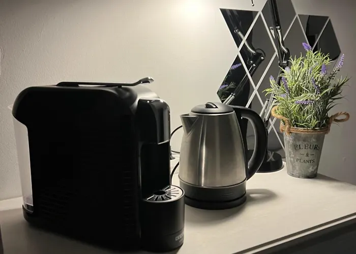 Bed & Breakfast Old Vintage Brasov