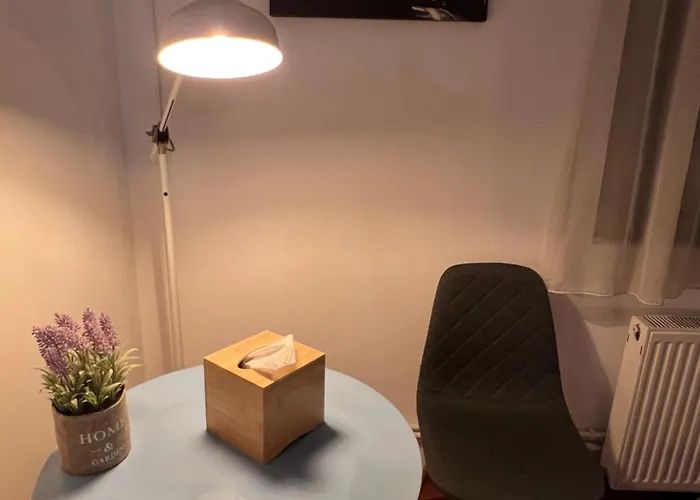 Old Vintage 3* Brasov